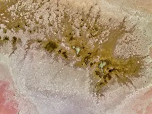 Images Dated 2022 February: Aerial view of the natural patterns of the salty pink Lake MacDonnell in South Australia