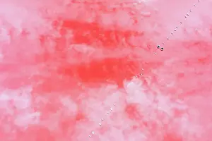 Aerial view over the stunning colourful lake at Hutt lagoon. Port Gregory, Western Australia