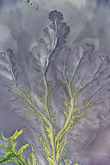 Aerial view above Wyndham of amazing natural shapes and textures created by tidal changes