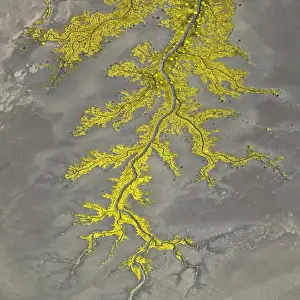 Nicky Dowling Landscapes Prints: Aerial view above Wyndham of amazing natural shapes and textures created by tidal changes