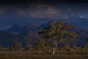 Images Dated 16th September 2015: Afternoon light sweeps across the countryside with a view of the distant mountains of the Flinders