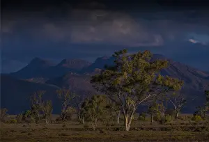Images Dated 16th September 2015: Afternoon light sweeps across the countryside with a view of the distant mountains of the Flinders Ranges national park