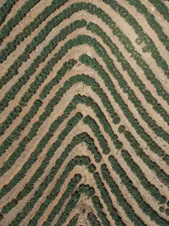 Agricultural patterns as seen from above, France