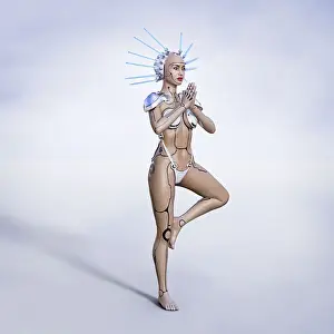 Recreation Prints: ai, ar, artificial intelligence, augmented reality, balance, bikini, color image