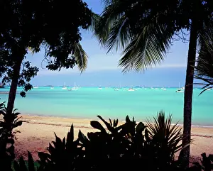 Tropical Climate Prints: Airlie Beach