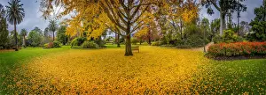 Formal Garden Prints: Albury botanical gardens in Autumn, New South Wales, Australia