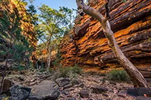 Alligator Gorge in Mount Remarkable National Park. Flinders Ranges, South Australia