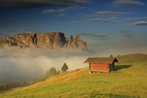 Images Dated 18th August 2016: Alpe di Siusi, Dolomites
