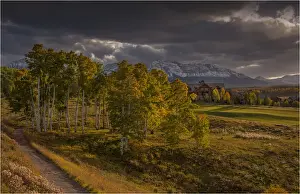 Meadow Prints: Alpine meadow in autumn near Telluride, Colorado, south west United States of America