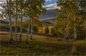 Meadow Prints: Alpine meadow in autumn near Telluride, Colorado, south west United States of America