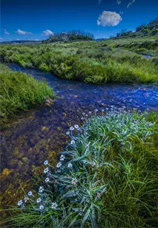 Images Dated 20th January 2017: Alpine scenery near Falls creek in the mountainous region of north east Victoria