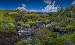 Images Dated 20th January 2017: Alpine scenery near Falls creek in the mountainous region of north east Victoria