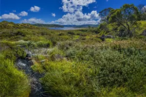 Images Dated 20th January 2017: Alpine scenery near Falls creek in the mountainous region of north east Victoria