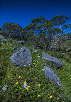 Alpine scenery near Falls creek in the mountainous region of north east Victoria, Australia