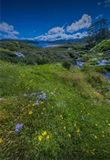 Images Dated 20th January 2017: Alpine scenery near Falls creek in the mountainous region of north east Victoria