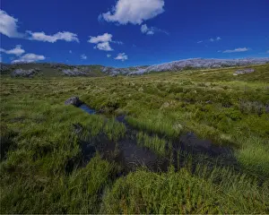 Images Dated 20th January 2017: Alpine scenery near Falls creek in the mountainous region of north east Victoria