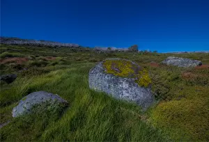 Images Dated 20th January 2017: Alpine scenery near Falls creek in the mountainous region of north east Victoria