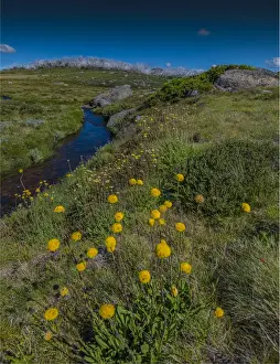 Images Dated 20th January 2017: Alpine scenery near Falls creek in the mountainous region of north east Victoria