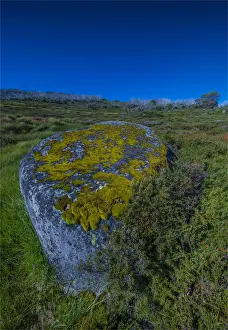 Images Dated 20th January 2017: Alpine scenery near Falls creek in the mountainous region of north east Victoria