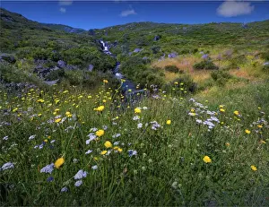 Images Dated 20th January 2017: Alpine scenery near Falls creek in the mountainous region of north east Victoria