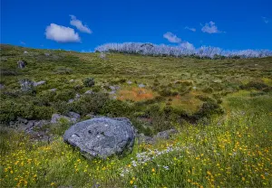 Images Dated 20th January 2017: Alpine scenery near Falls creek in the mountainous region of north east Victoria