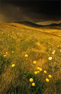 European Alps Prints: An Alpine view, Snowy Mountains, New South Wales, Australia