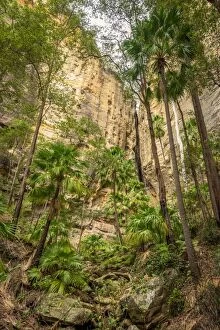 Images Dated 26th July 2016: The Amphitheatre at Carnarvon Gorge