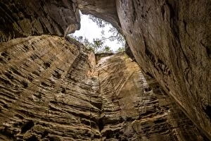 Images Dated 26th July 2016: The Amphitheatre in Carnarvon Gorge, Queensland