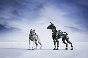 Contrasting Prints: animals, ar, artificial, augmented reality, black, color image, computer graphic