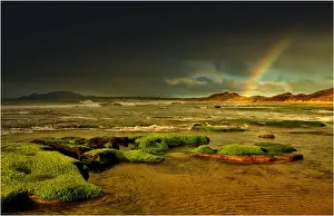 Ann Bay, a delightful area of scenic coastline in North West Tasmania