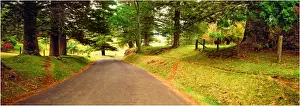 Country Road Prints: Anson Bay road