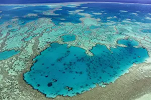 anthozoa, australian, coral reef, exterior views, ocean, out, structure, surface