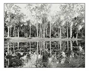 Retro Styled Prints: Antique photograph of Lagoon on the Clarence River