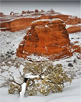 Southwest Usa Prints: Arches National Park in Utah, South-western United States
