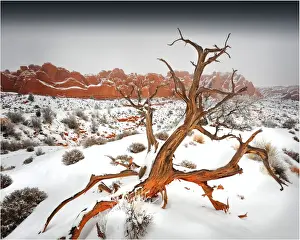 Southwest Usa Prints: Arches National Park in Utah, South-western United States