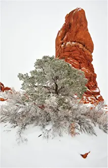 Southwest Usa Prints: Arches National Park in Utah, South-western United States