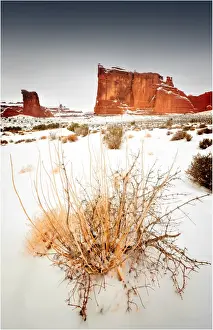 Southwest Usa Prints: Arches National Park in Utah, South-western United States