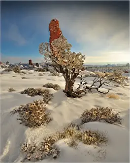Southwest Usa Prints: Arches National Park in Utah, South-western United States