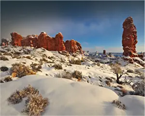 Arches National Park in Utah, South-western United States, with a mantle of rare winter snow