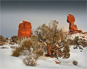 Southwest Usa Prints: Arches National Park in Utah, South-western United States