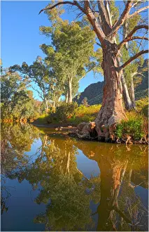 Semi Arid Prints: Arkaroola, an area of incredible semi arid wilderness in the northern Flinders Ranges of South Australia
