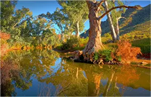 Semi Arid Prints: Arkaroola, an area of incredible semi arid wilderness in the northern Flinders Ranges of South Australia