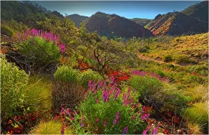 Arkaroola, an area of incredible semi arid wilderness in the northern Flinders Ranges of South Australia
