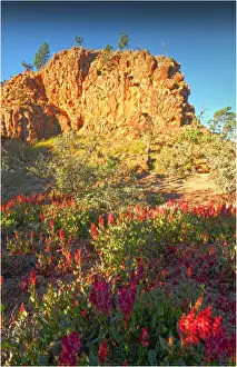 Semi Arid Prints: Arkaroola, an area of incredible semi arid wilderness in the northern Flinders Ranges of South Australia