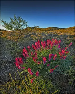 Arkaroola, an area of incredible semi arid wilderness in the northern Flinders Ranges of South Australia