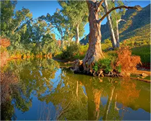 Arkaroola, an area of incredible semi arid wilderness in the northern Flinders Ranges of South Australia