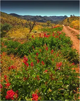Arkaroola, an area of incredible semi arid wilderness in the northern Flinders Ranges of South Australia