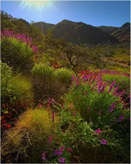 Semi Arid Prints: Arkaroola, an area of incredible semi arid wilderness in the northern Flinders Ranges of South Australia