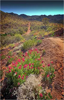 Arkaroola, an area in the northern flinders Ranges of South Australia