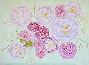 Arrangement of Scattered Camellias Theaceae in Pinks and White Acrylic Painting